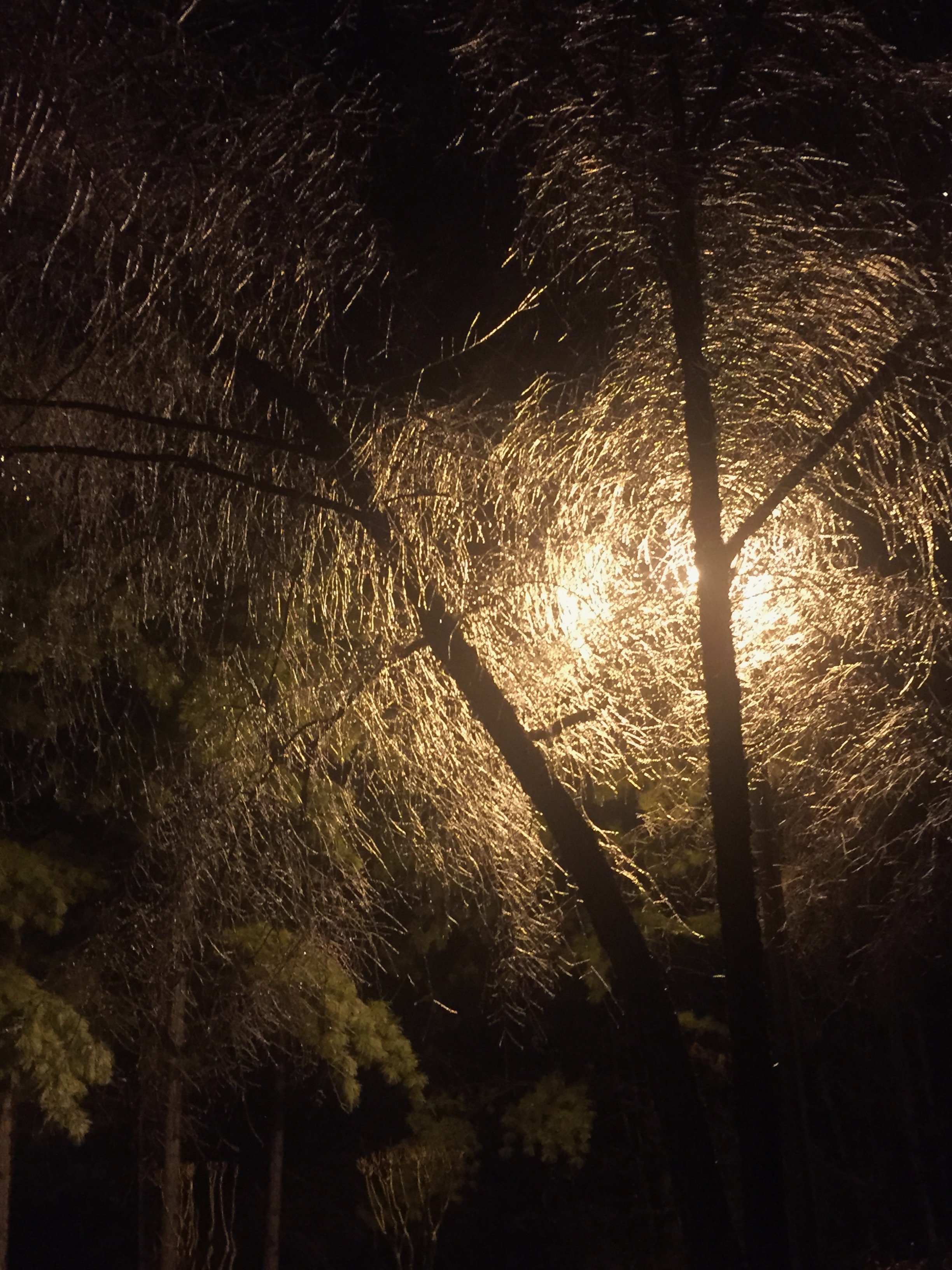 ice storm.jpeg