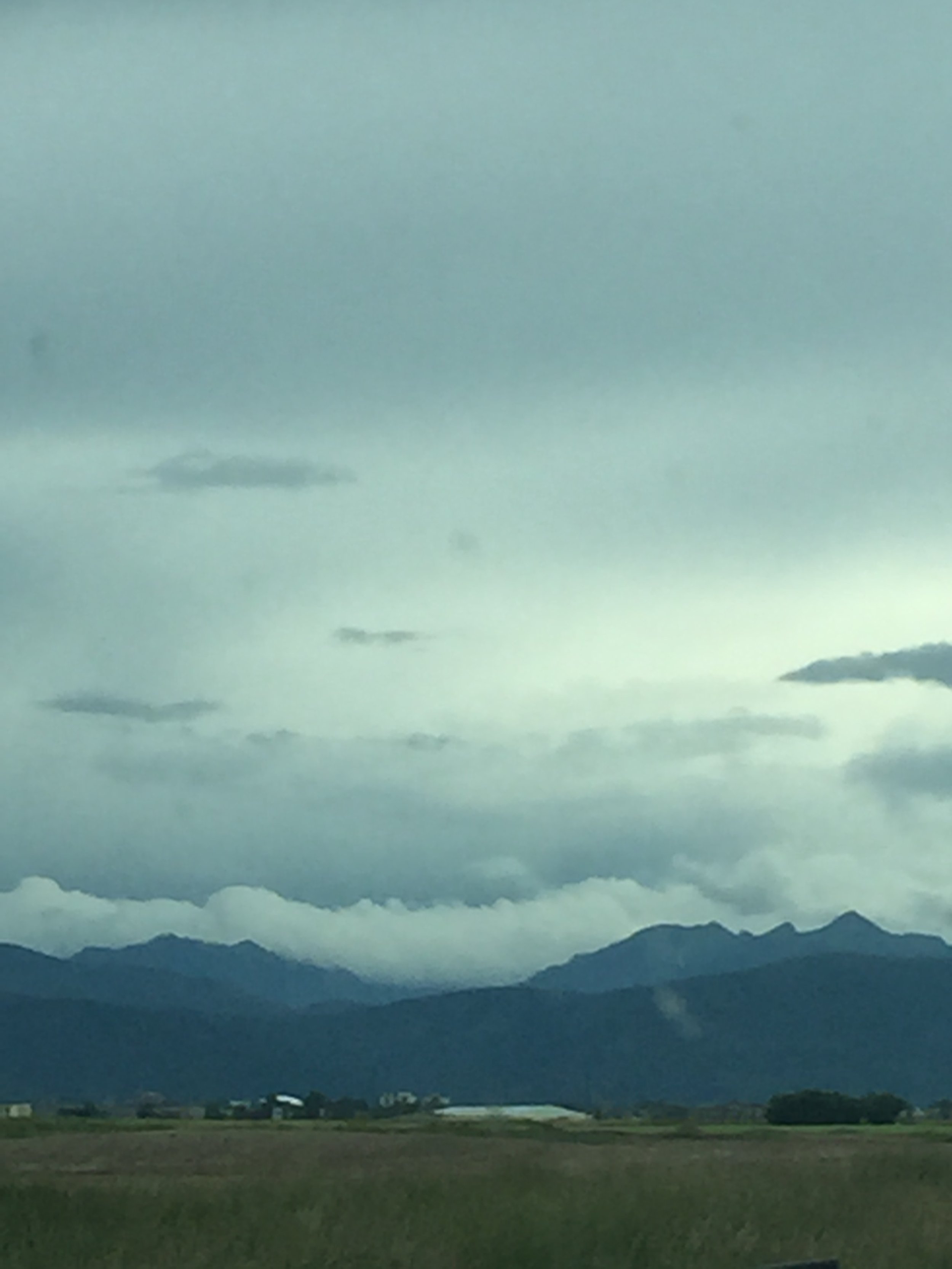 IMG_1694.jpeg