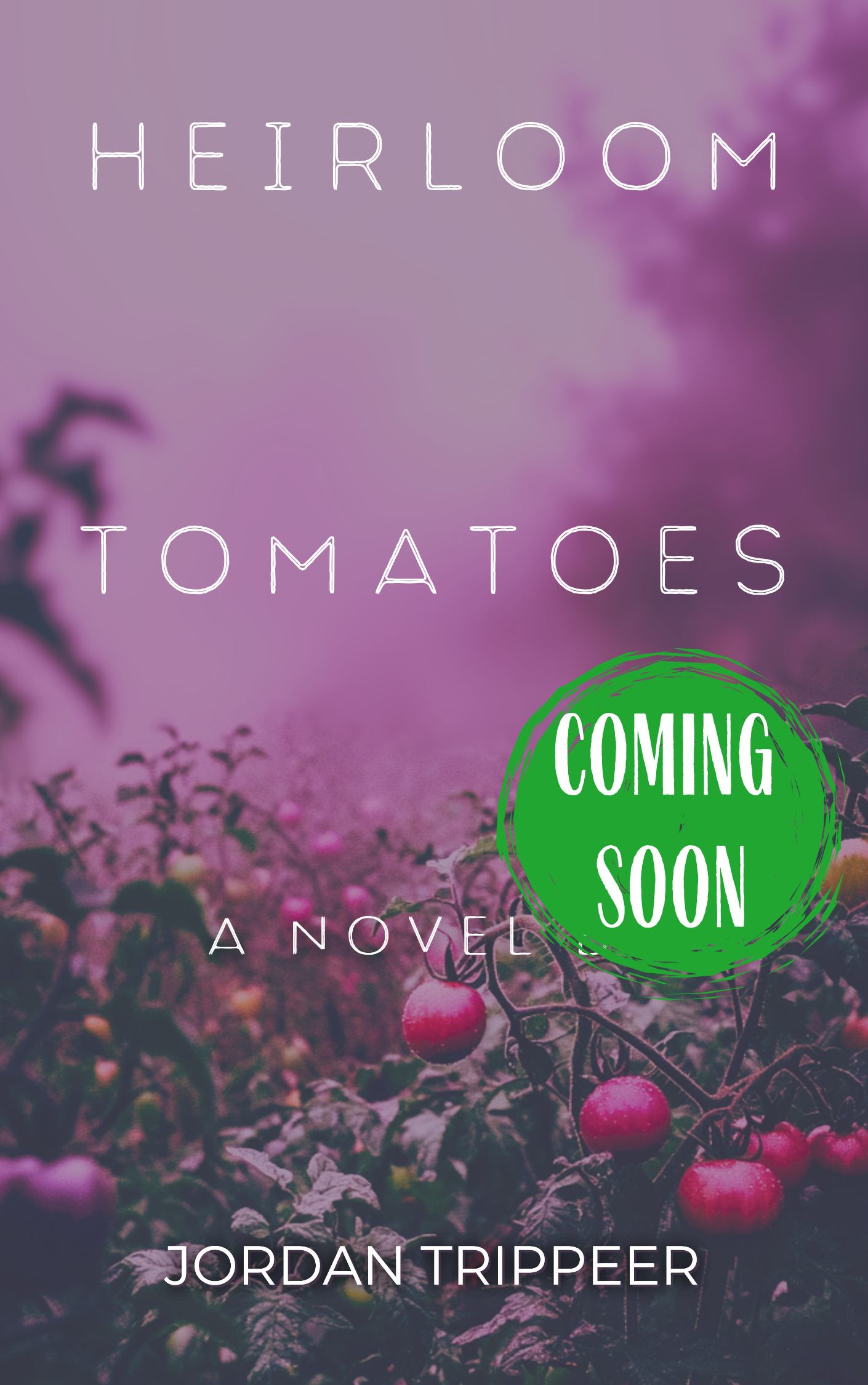 Heirloom Tomatoes (A Novel by Jordan Trippeer)