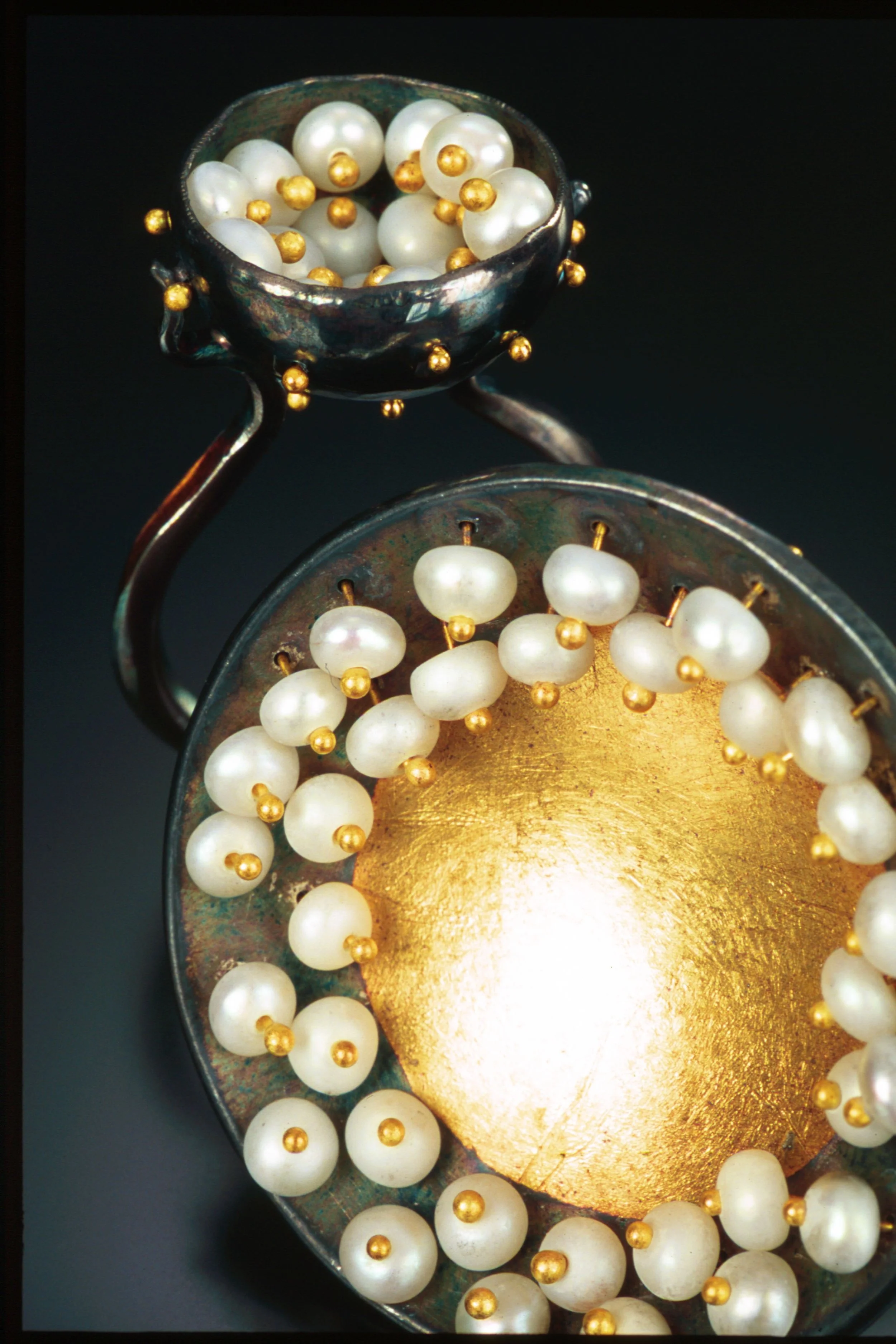 'pod and stamen%22 series copy.jpg