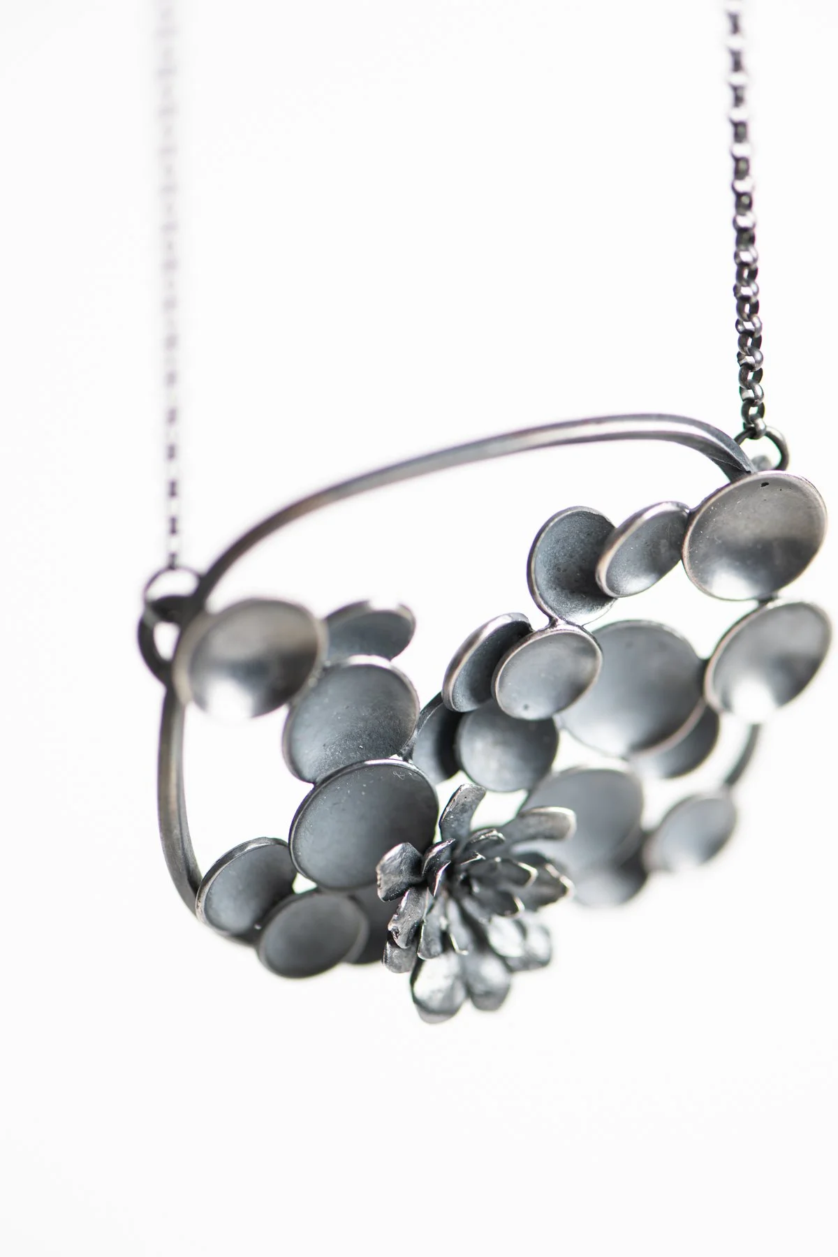Botanical work circa 2015-2024