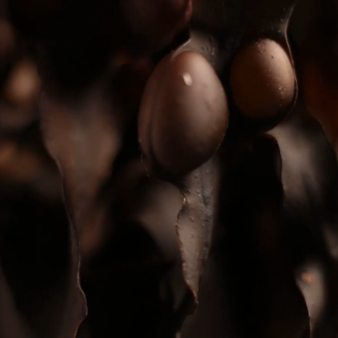 DitD9.png