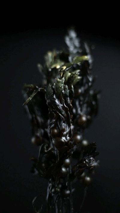 Turning-Wrack-9.gif