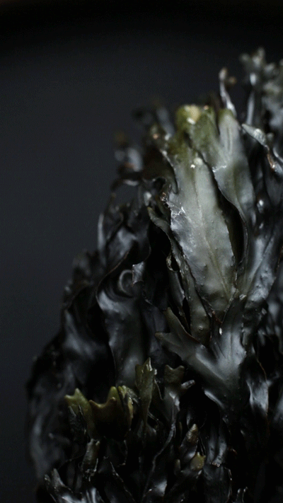 Turning-Wrack-3.gif