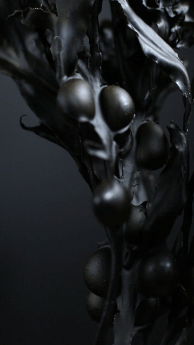 Turning Wrack 7.gif