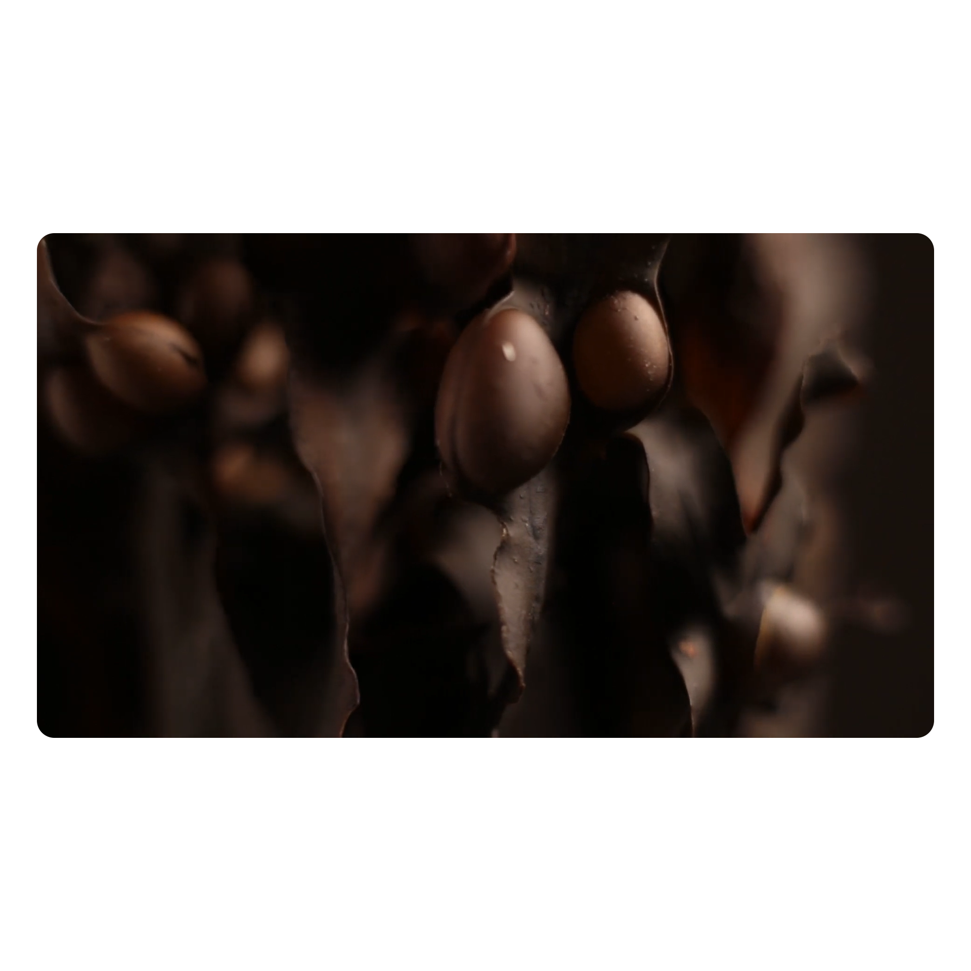 Divinity in the Details Film