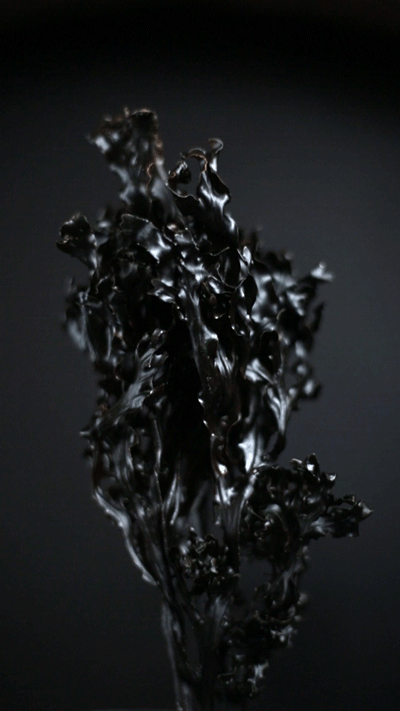Turning-Wrack-8.gif