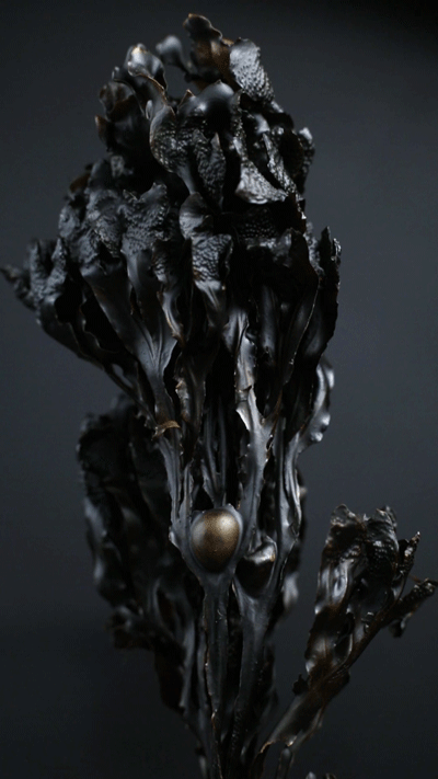 Turning-Wrack-5.gif