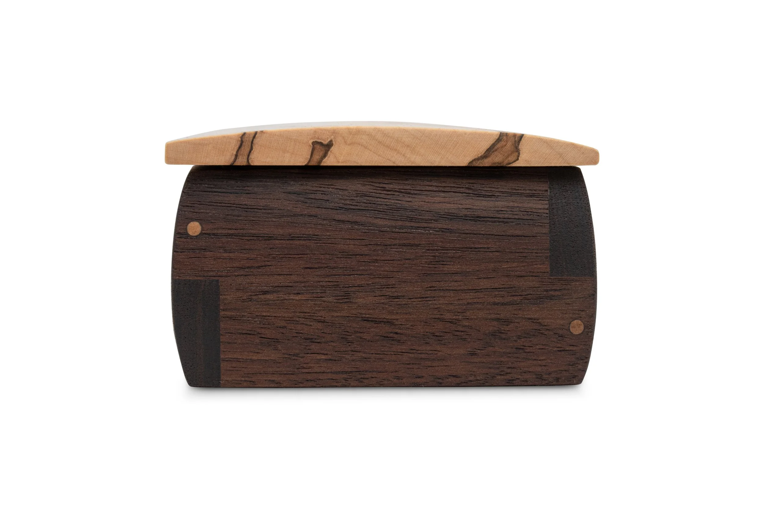 Black Walnut w/ Ambrosia Maple lid - Convex