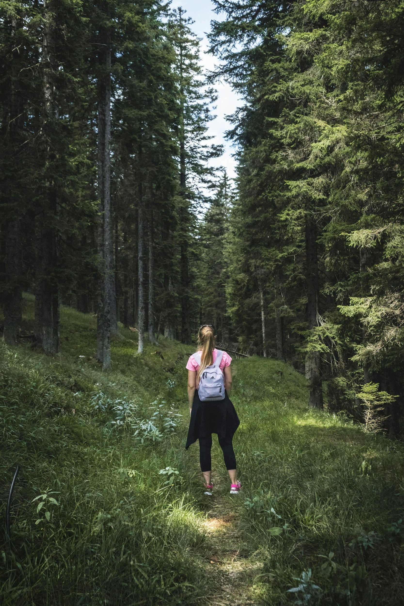 Walk-Talk Therapy