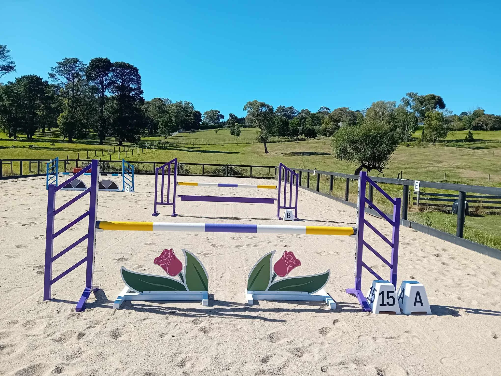 5a13f0fb-f69a-4b08-ab8e-94a4bf1e7096.jfif