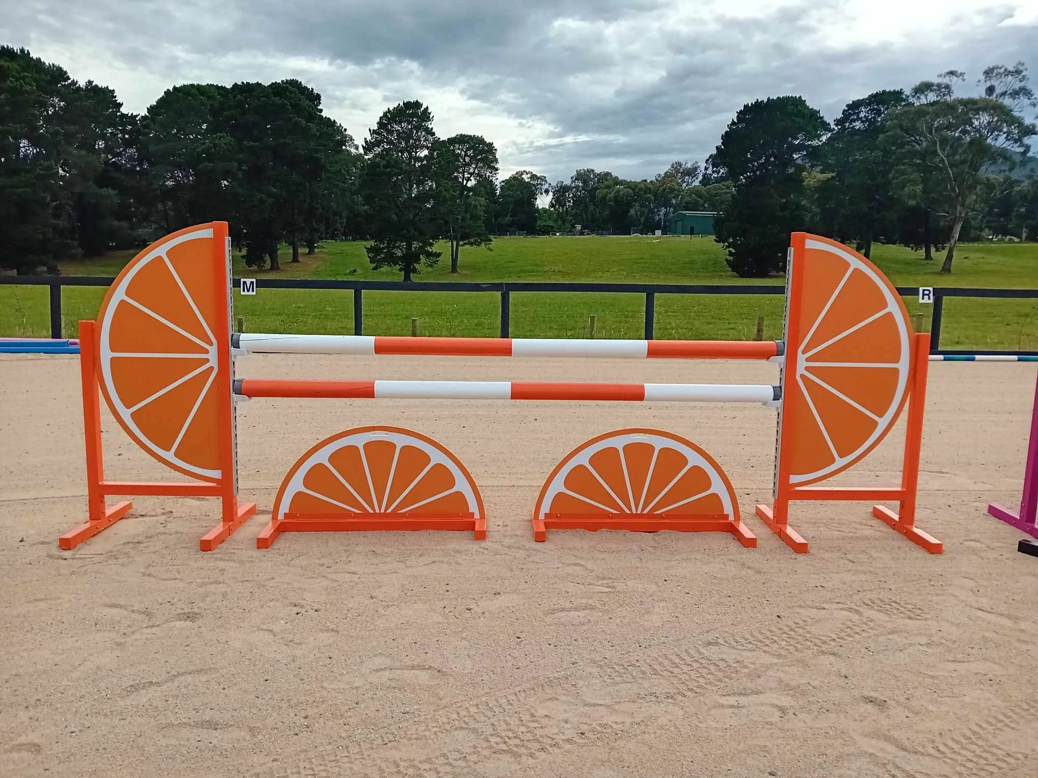 1ddcd438-310a-4a8e-b156-6d5f97ef828d.jfif