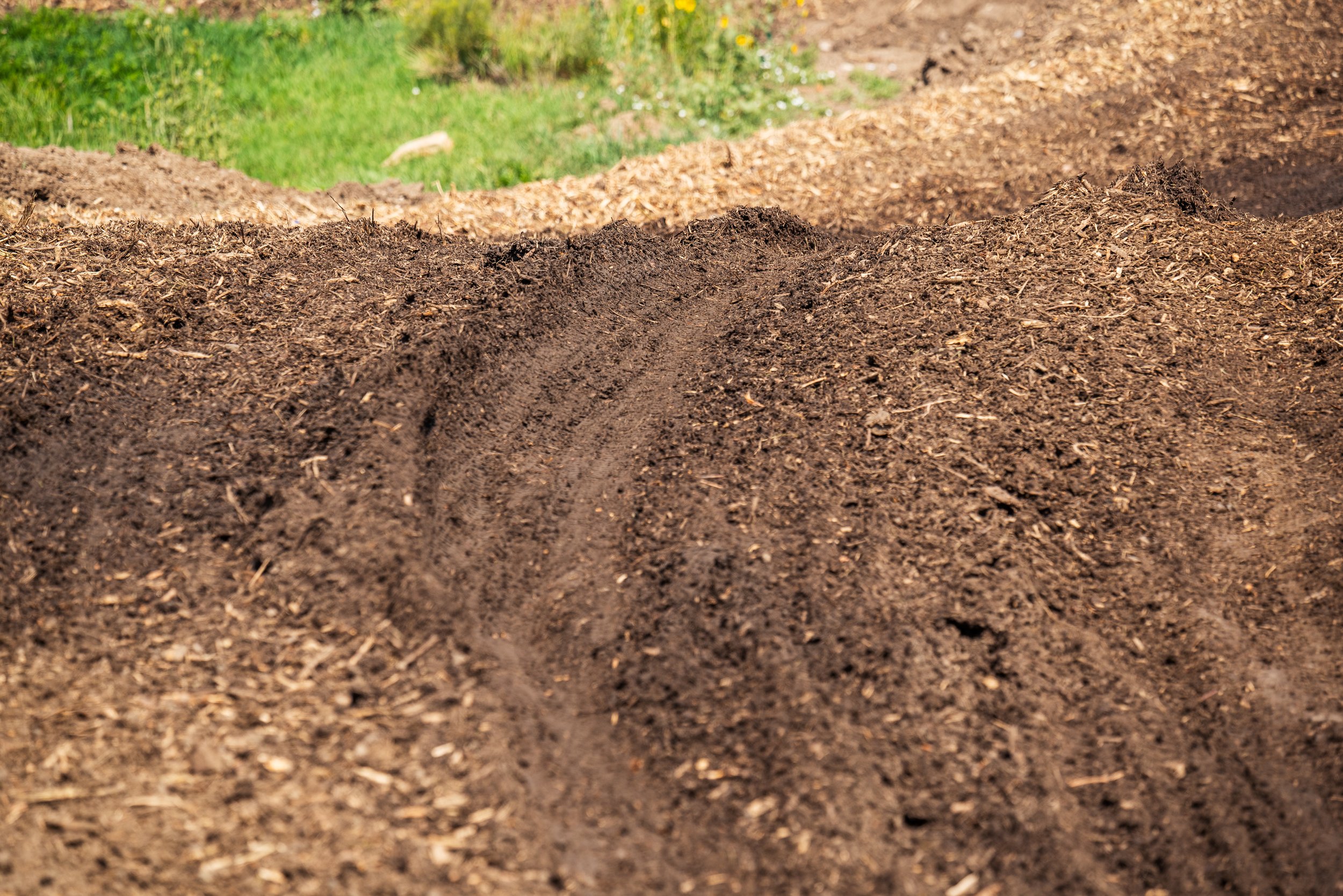 RMRA_MX2021-5.jpg