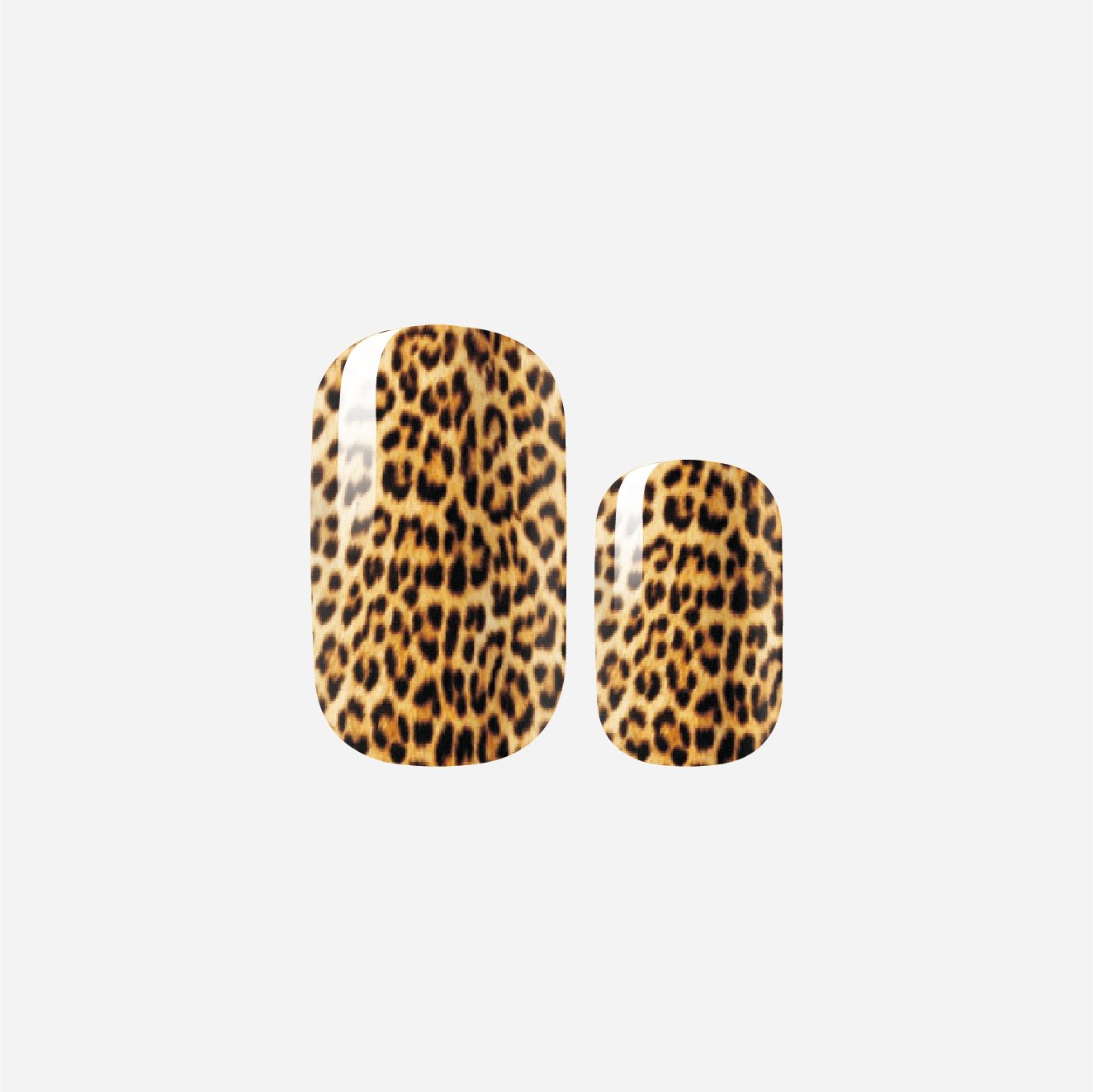 Just Call Me Jaguar-ZB1011d.jpg