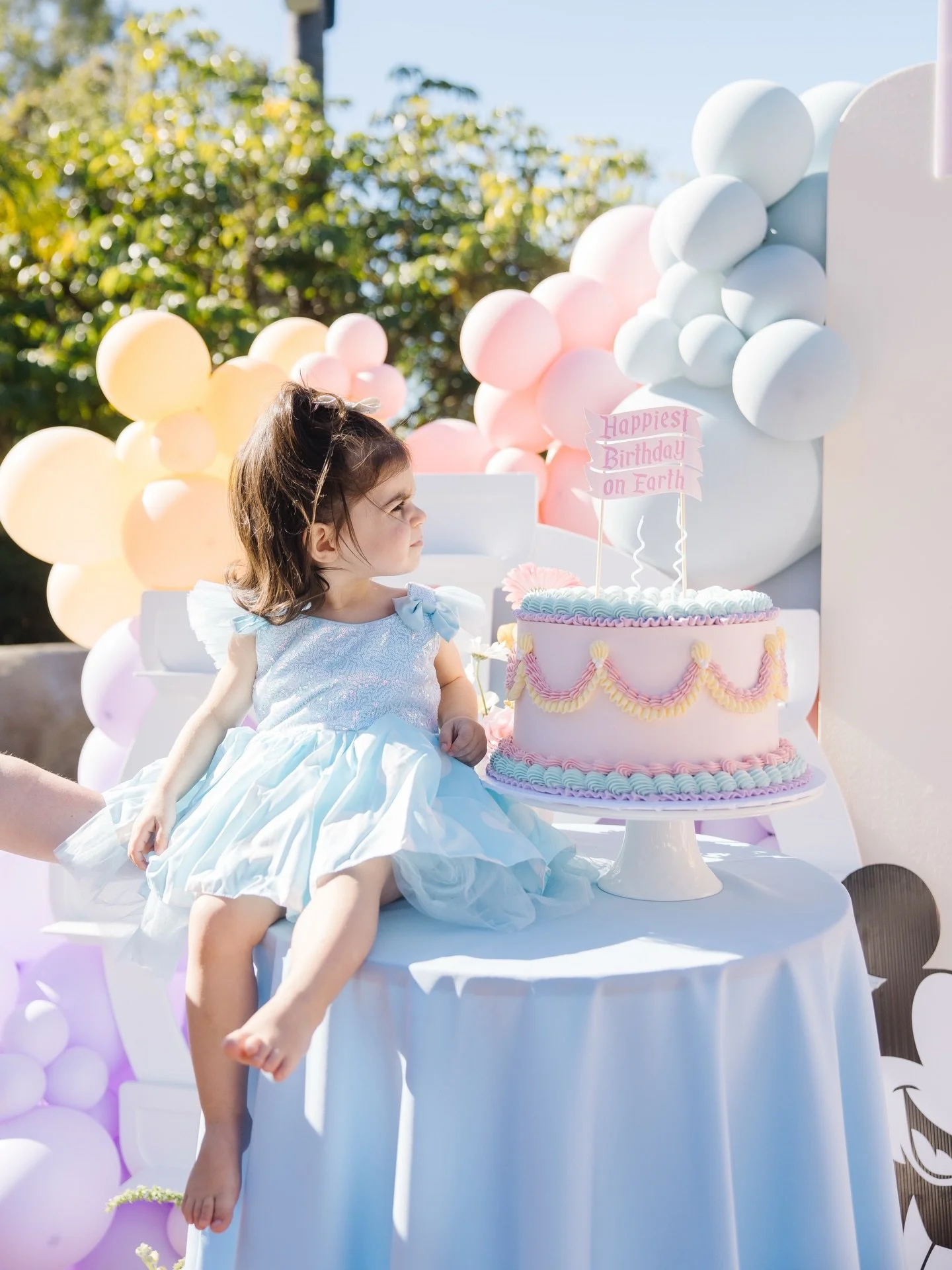 For all my Disney lover friends, this party is calling your name! Disneyland in your backyard? An actual dream come true! Popcorn, cotton candy, and churros plus cake and cookies? Gemmaland is truly the happiest place on earth! 🥳

Mom: @katttttttttt