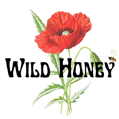 First Droplets pregnancy resources— Wild Honey Homebirth and lactation ...