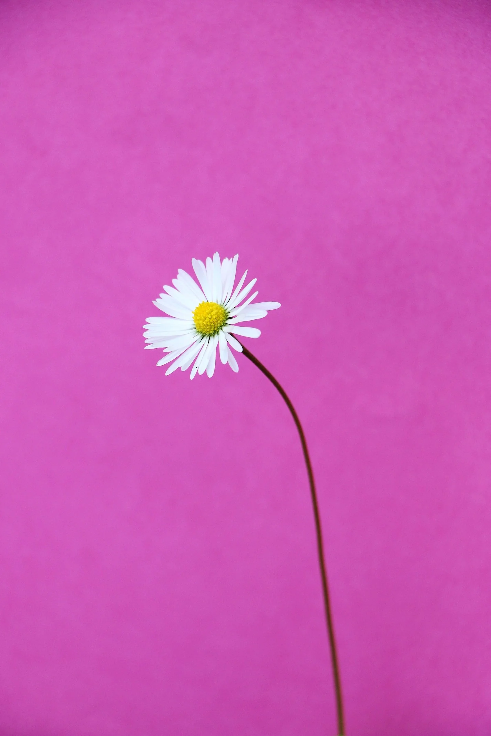 unsplash-image-f0wC10CPvAs.jpg