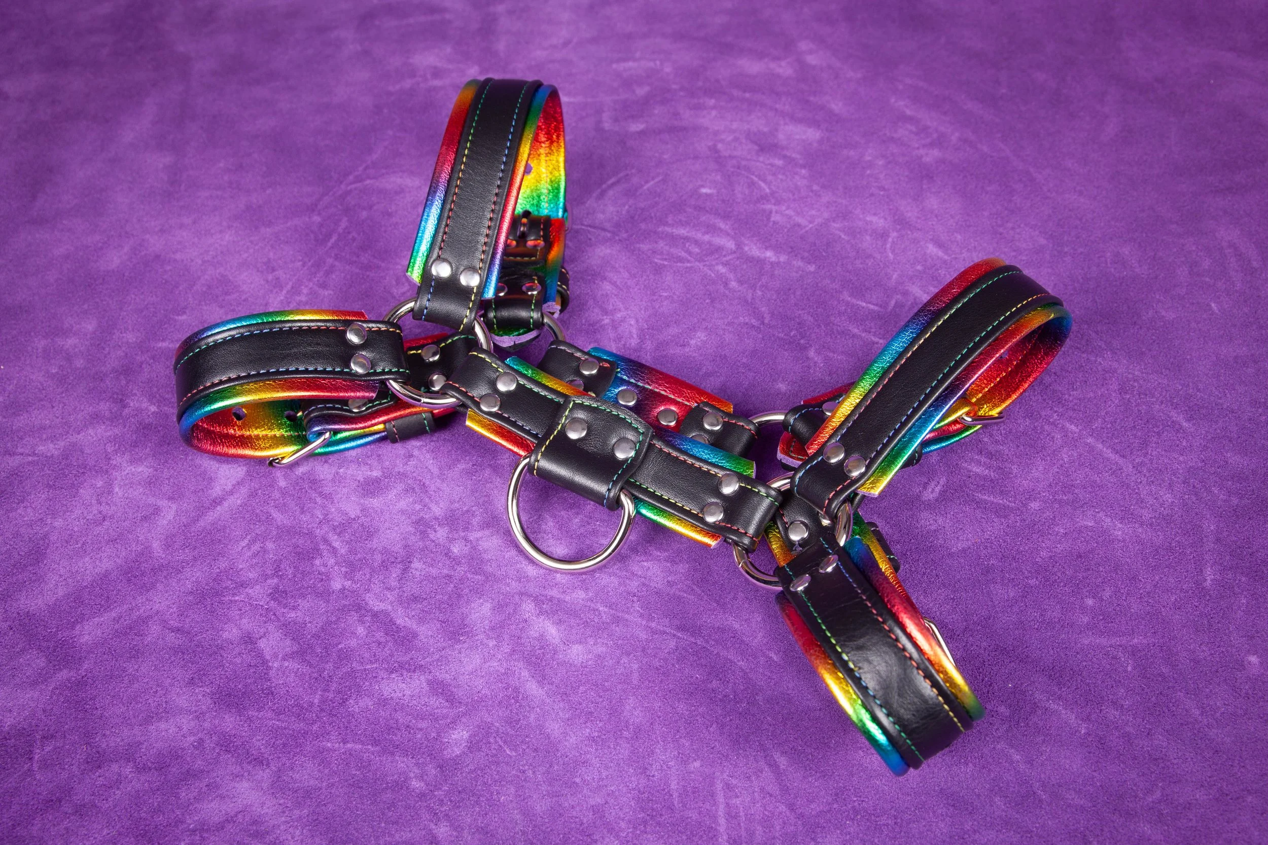 Bulldog - Chest Harness  - Pride Edition