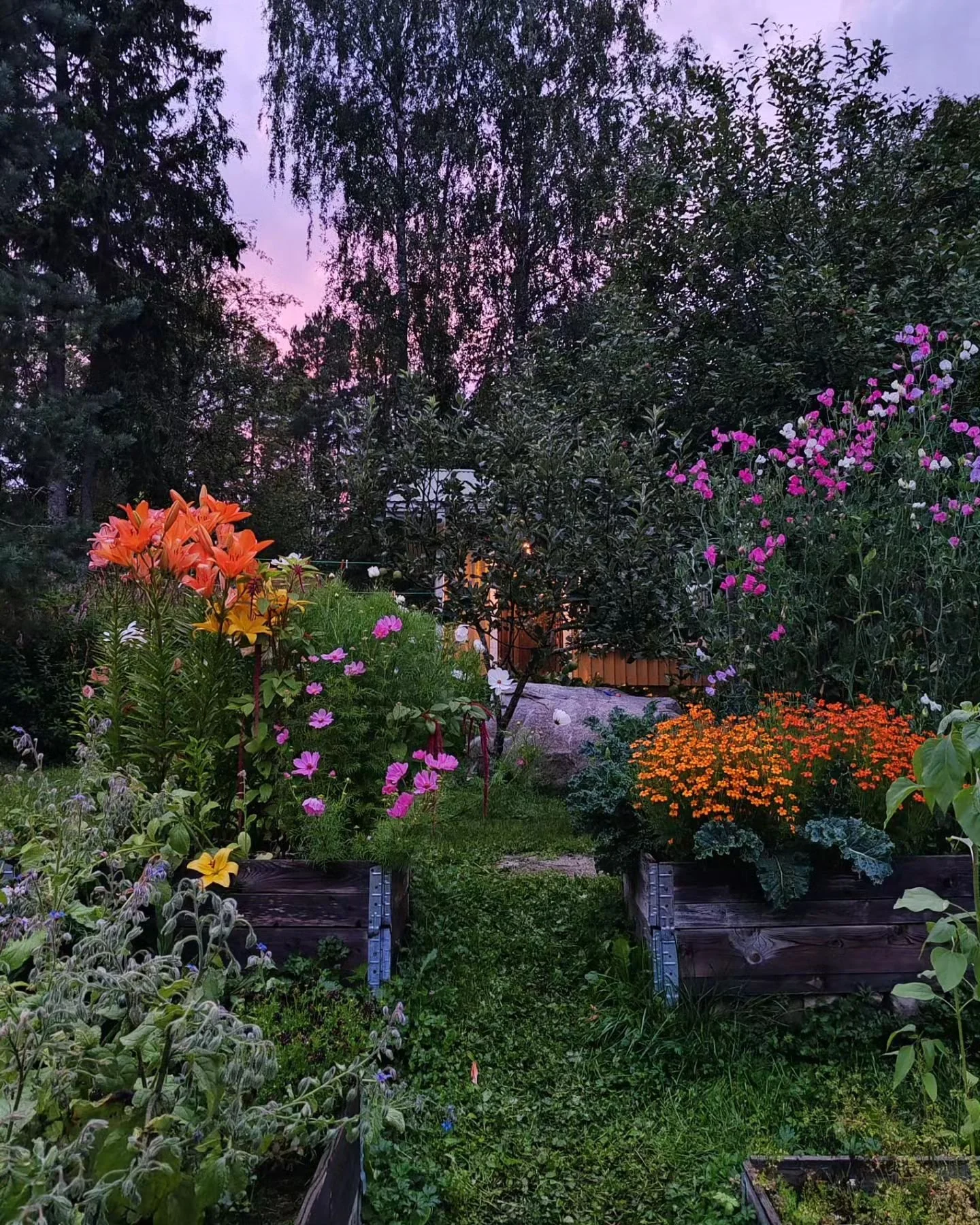 &quot;Eip&auml;s kun ihana Anime-puutarha!&quot;, huudahti nuorempi lapseni, kun p&auml;ivittelin ty&ouml;kiireiden ja lomailun aikana villiintynytt&auml; pihaamme. 😅

En tied&auml; onko Studio Ghiblin tuotannolla vaikutusta omaan puutarhafilosofiaa