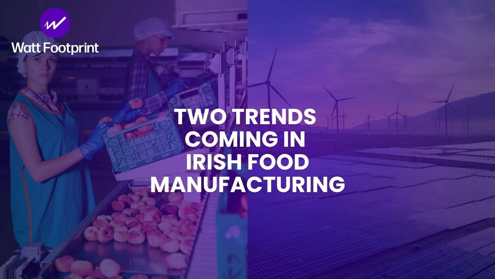 Two Trends Shaping Irish Food Manufacturing
