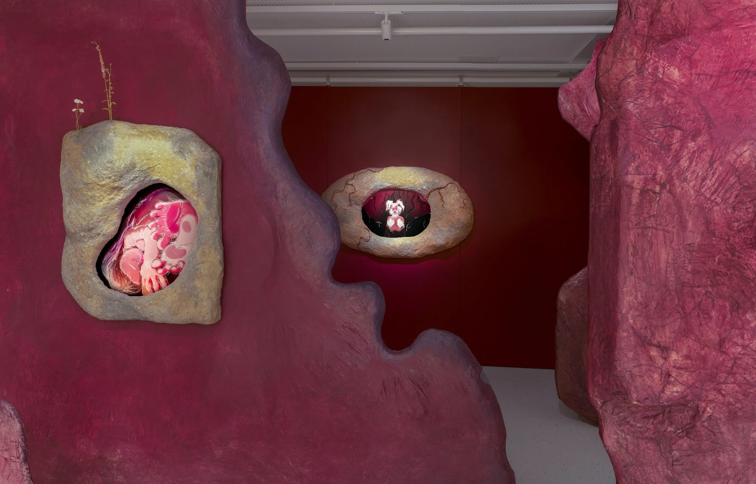 Uprooted at De Nederlandsche Bank, Amsterdam, curated by Rosanna van Mierlo, 2025