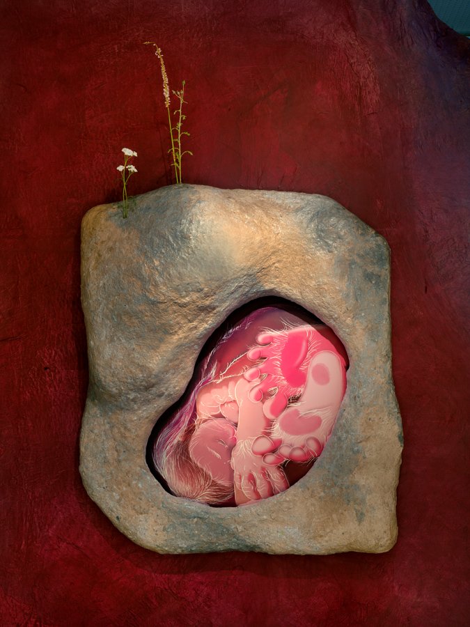 Uprooted at De Nederlandsche Bank 2025-26, Rabbithole Series: Homebody (Womb), 60x80