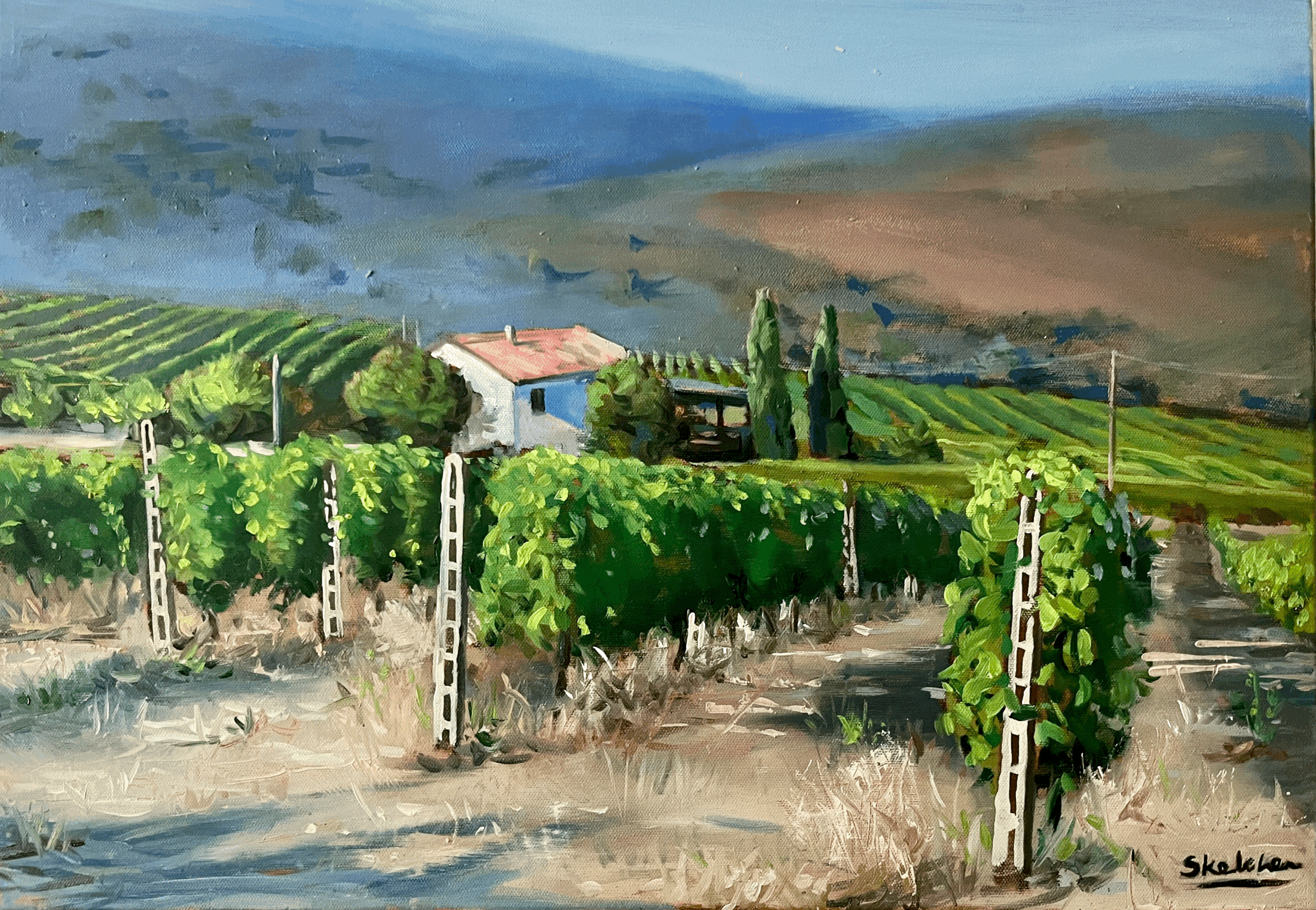 Summer Vineyard