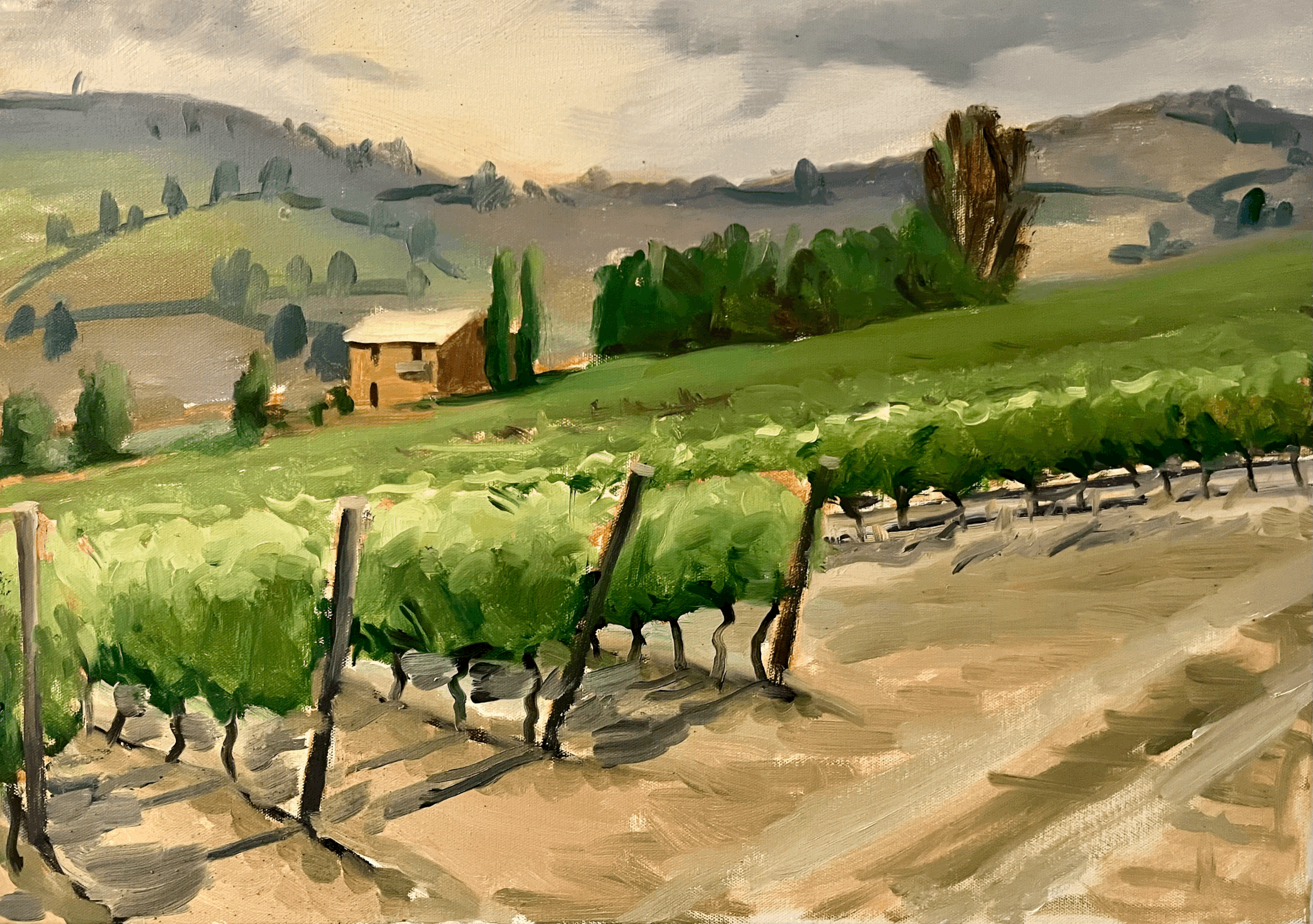 Italian Vineyard