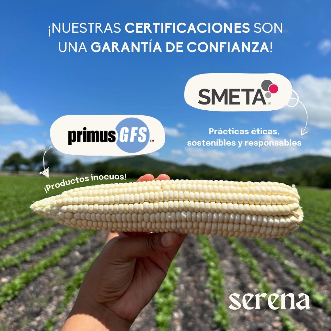 En Serena, nos tomamos en serio cada paso para ofrecerte productos frescos y de calidad, respaldados por certificaciones que reflejan nuestro compromiso con el campo. 🌱💚

🔸Primus GFS: Aseguramos los m&aacute;s altos est&aacute;ndares de seguridad 