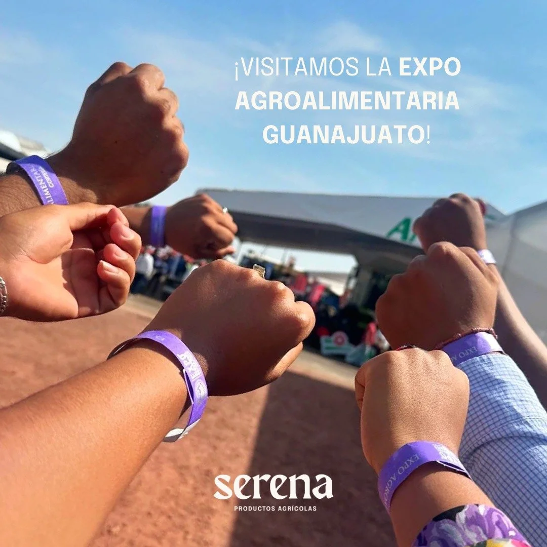 💚 &iquest;Quieres conocer a algunos de nuestros proveedores? 

Este a&ntilde;o, pudimos visitar el evento m&aacute;s importante del sector agroalimentario, &iexcl;la Expo AgroAlimentaria Guanajuato! ✨🌽

Aqu&iacute;, reforzamos alianzas con nuestros