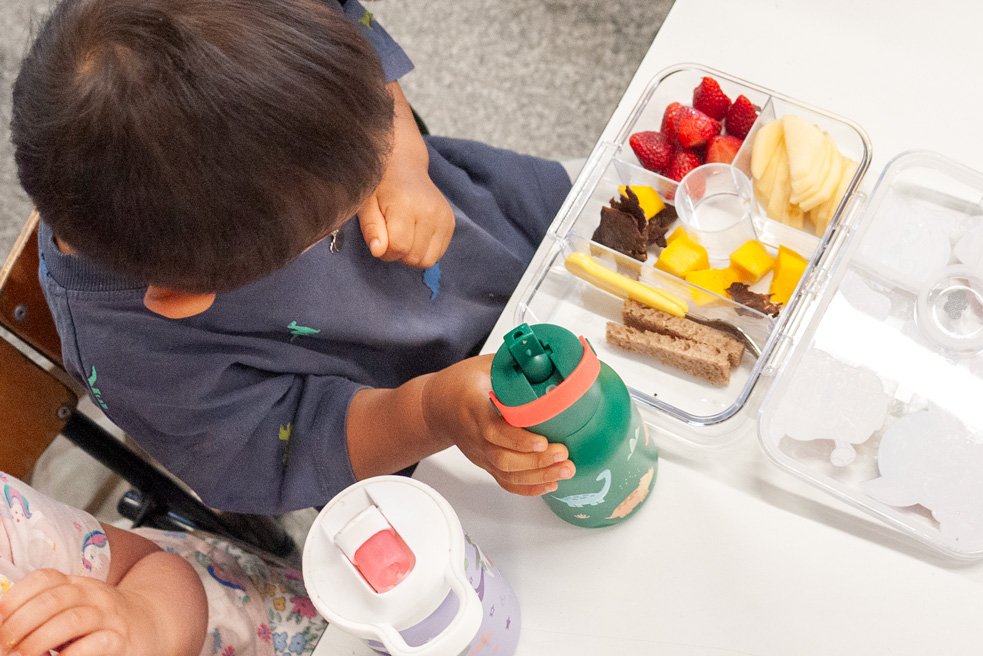 Fussy Eaters: Understanding &amp; supporting tamariki at mealtimes