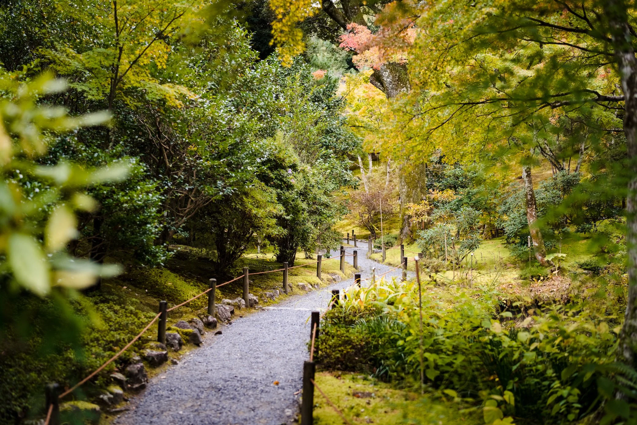 Garden at Tenryuji2.jpg