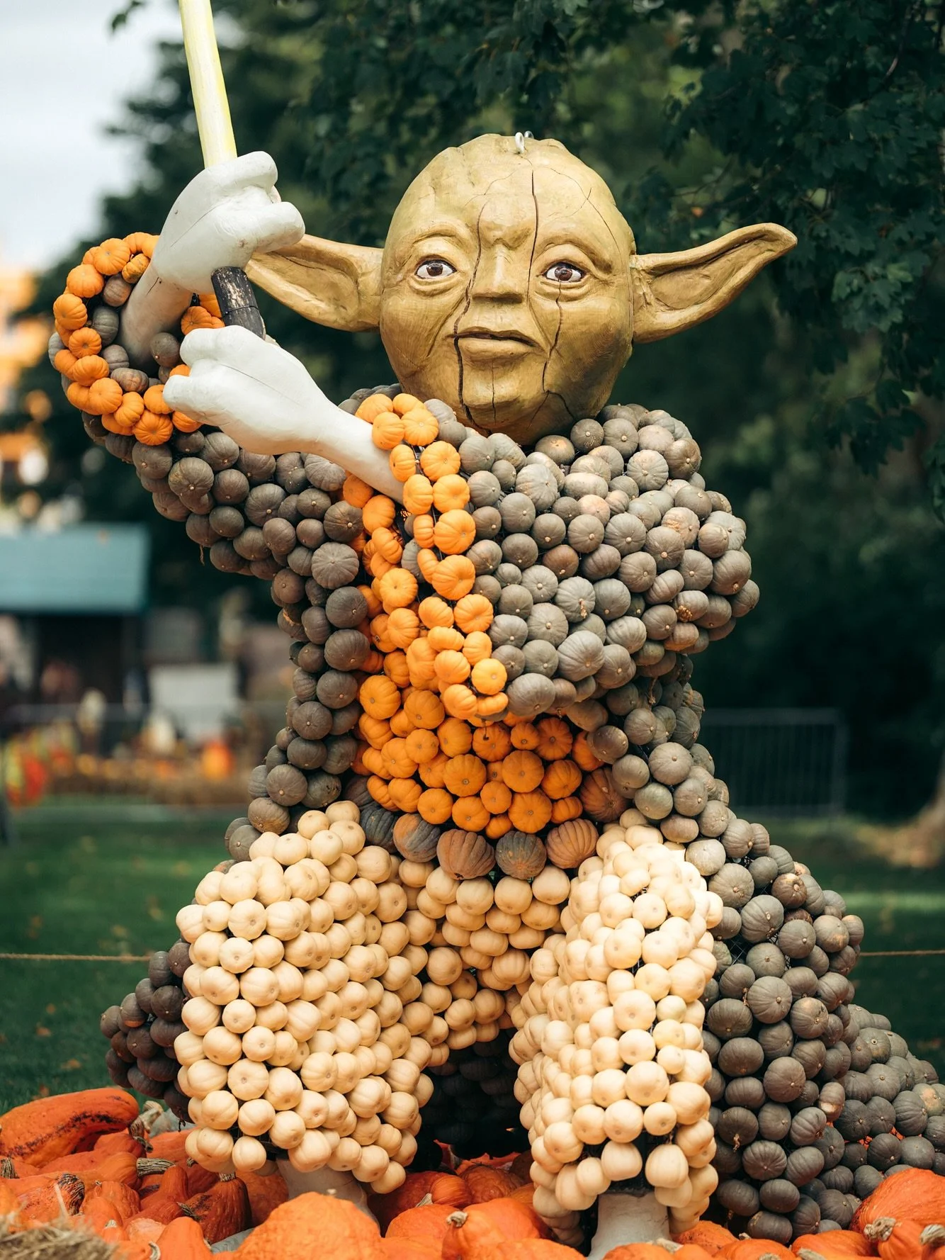 The Ludwigsburg Pumpkin Festival is underway! Although there were not as many pumpkin statues as last year, the movie theme was fun, and the pumpkin spritz was 10/10. The festival runs until November 2nd. 

#ludwigsburg #visitgermany #pumpkinfest #ge
