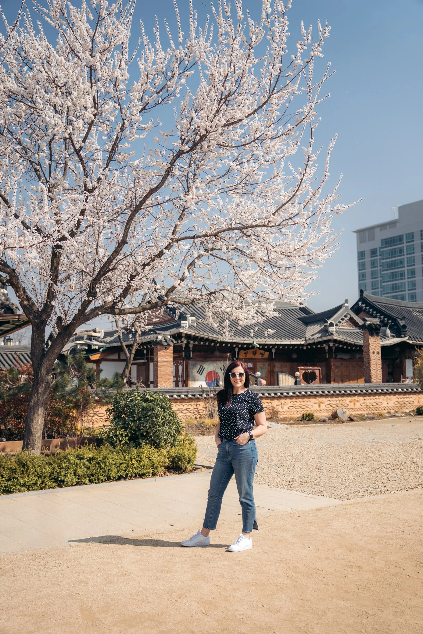 jeonju-cherry-blossoms.jpg