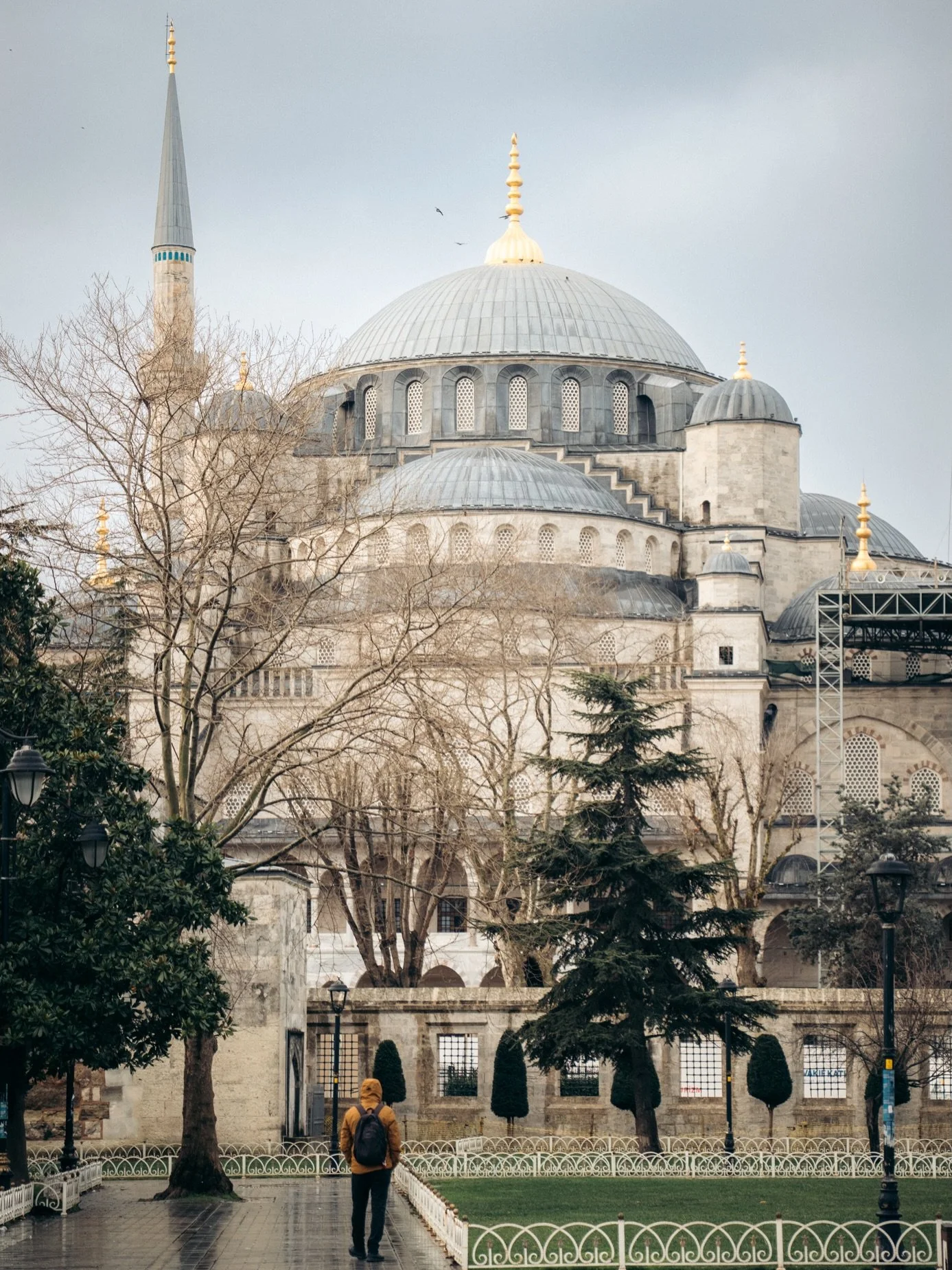 A whirlwind MLK weekend trip to 🇹🇷 with the fam!

We headed straight to Ephesus on day one and spent approximately 1.5 minutes exploring the ruins the next morning before total meltdowns&hellip; brought on by the very large (but adorable) stray dog