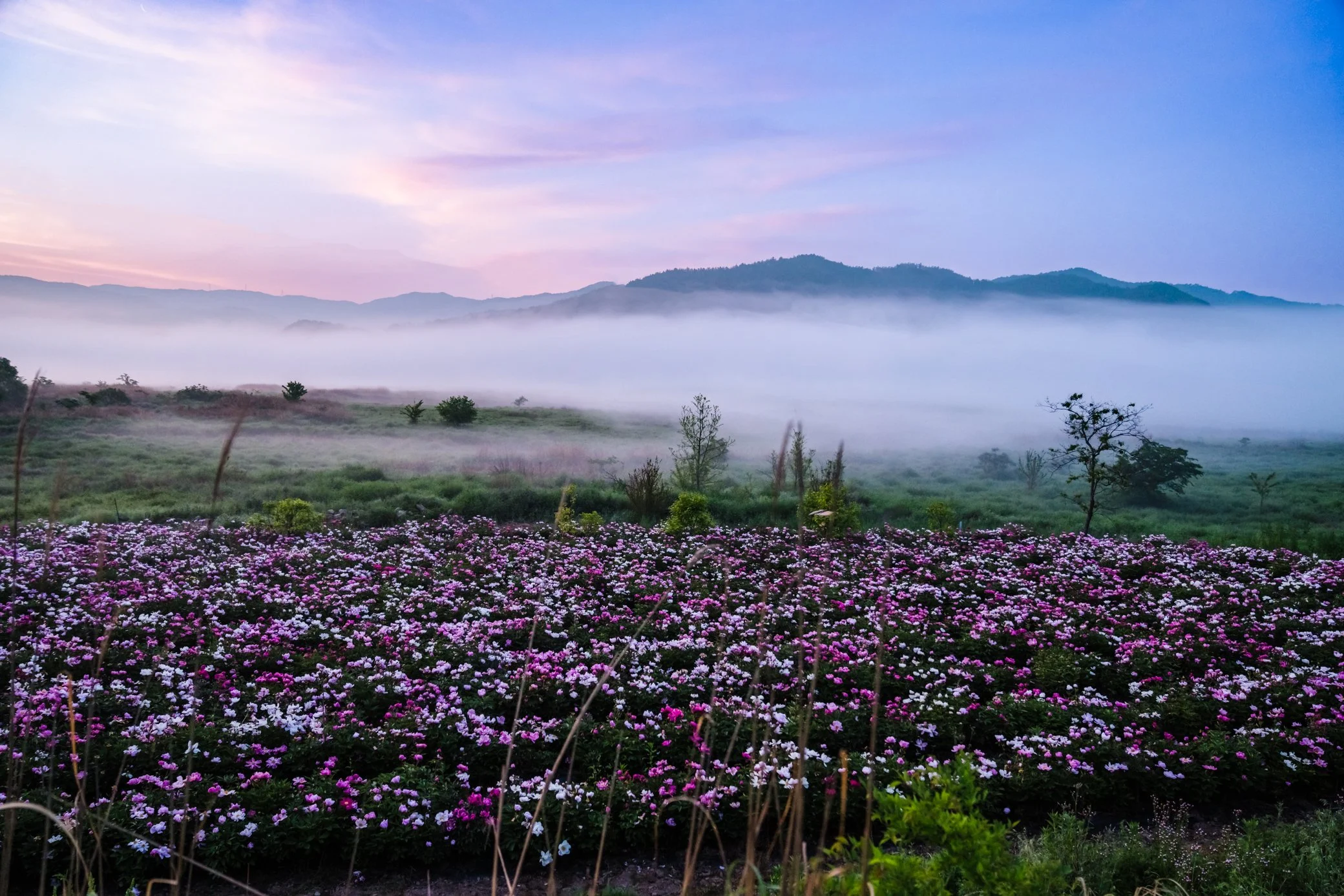 Boseong Countryside, South Korea