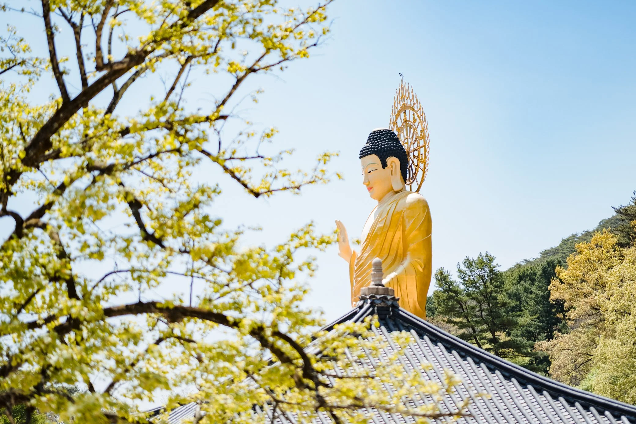 Bronze Buddha