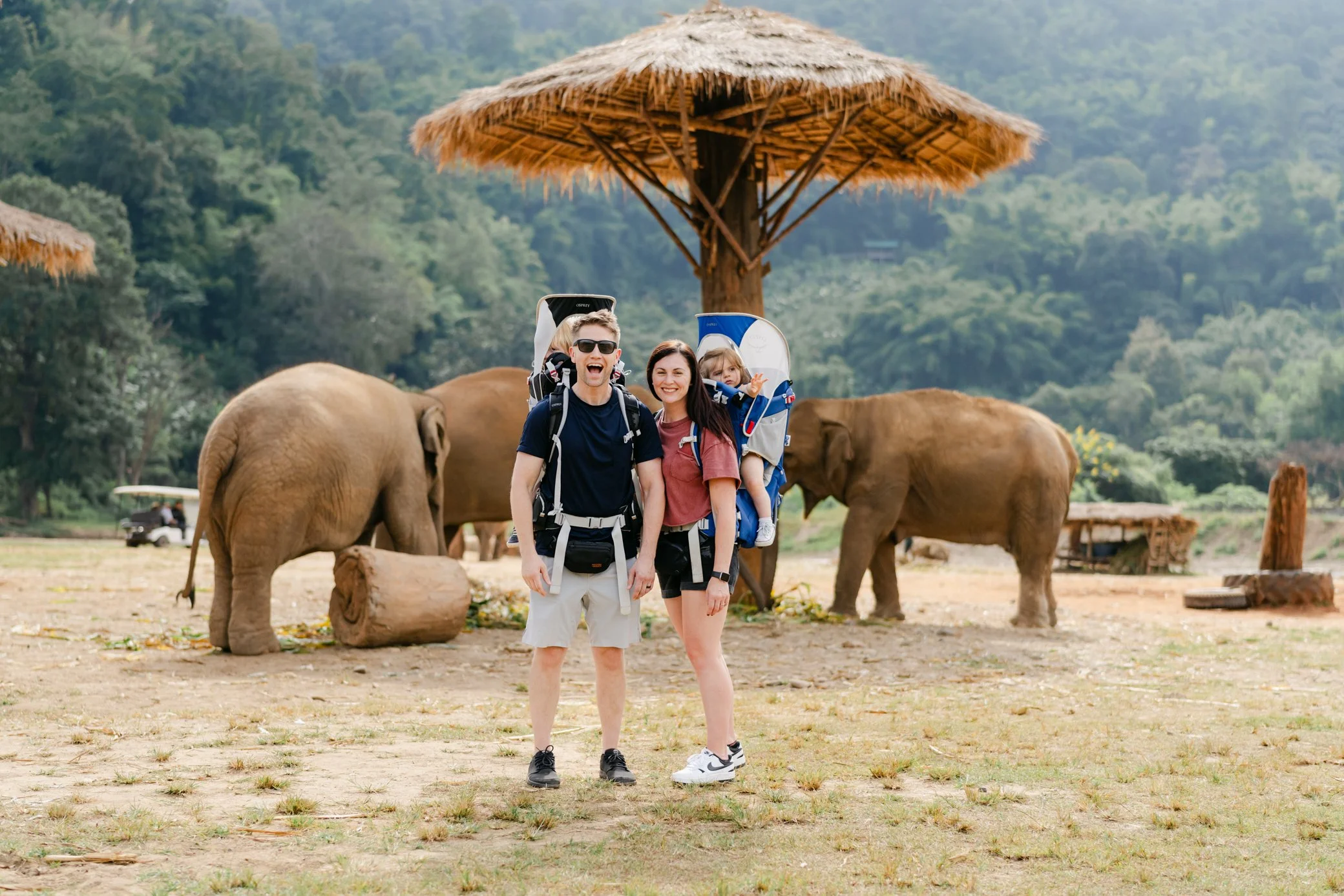 Elephant Nature Park In Thailand Erin Henderson