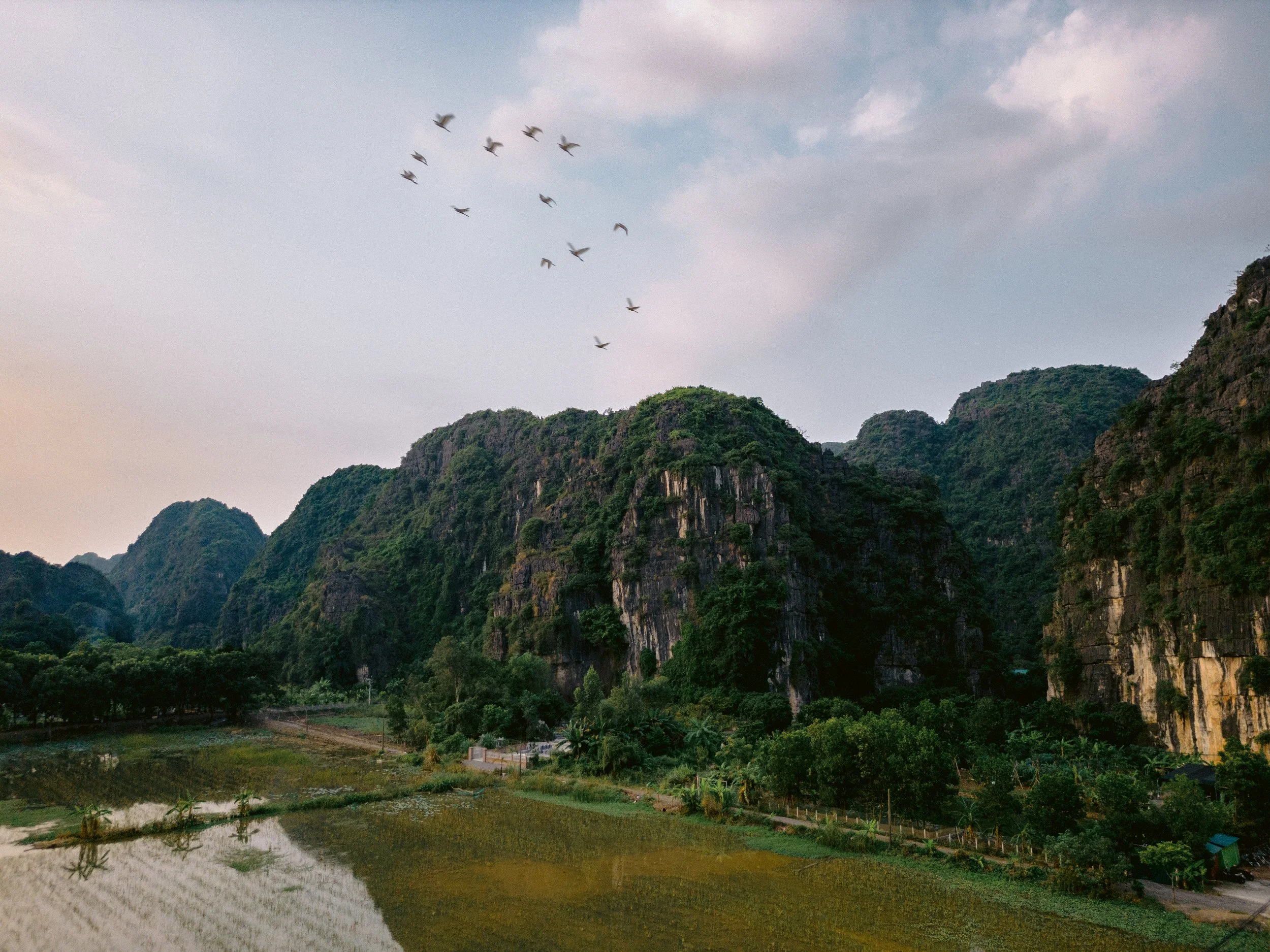 ninh_binh.jpg