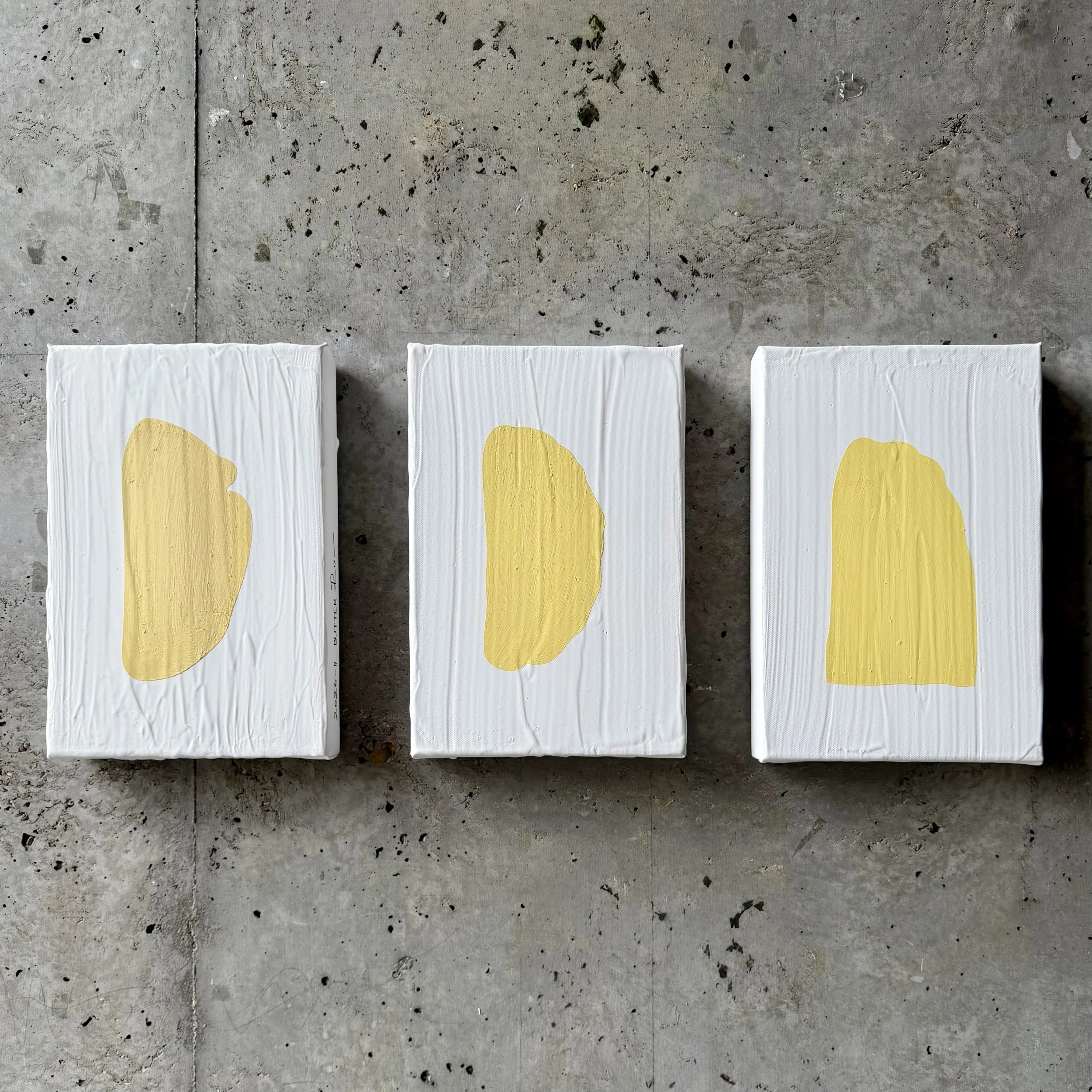 2026-II - IV Butter / Paintings 20 x 30 / Acrylic Paint and Oil Stick on Canvas / available