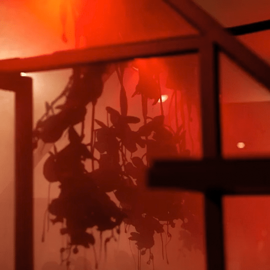 The Magician x Joyce VIDEO