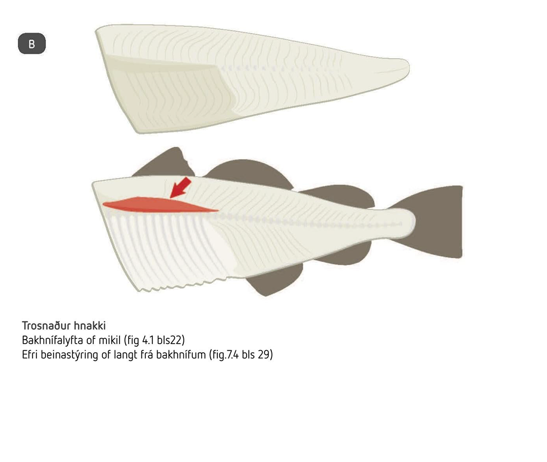 Gallar 16.png