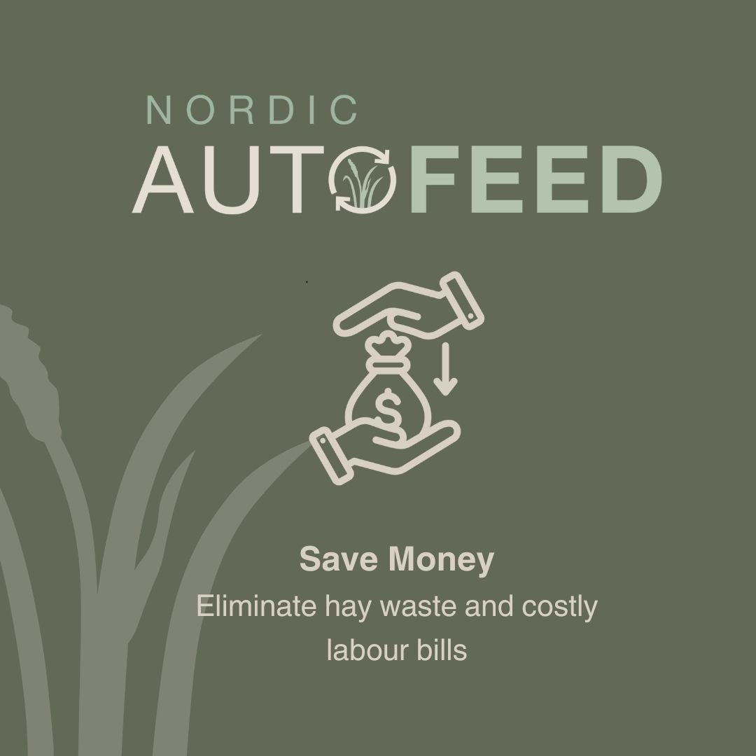Invest in yourself and your horse. Save money by cutting down on hay waste, expensive labour costs, and veterinary expenses.

www.nordicautofeed.com

#horsecare #equine #hayfeeder #slowfeeder #equestrian #horselife #horsemanship