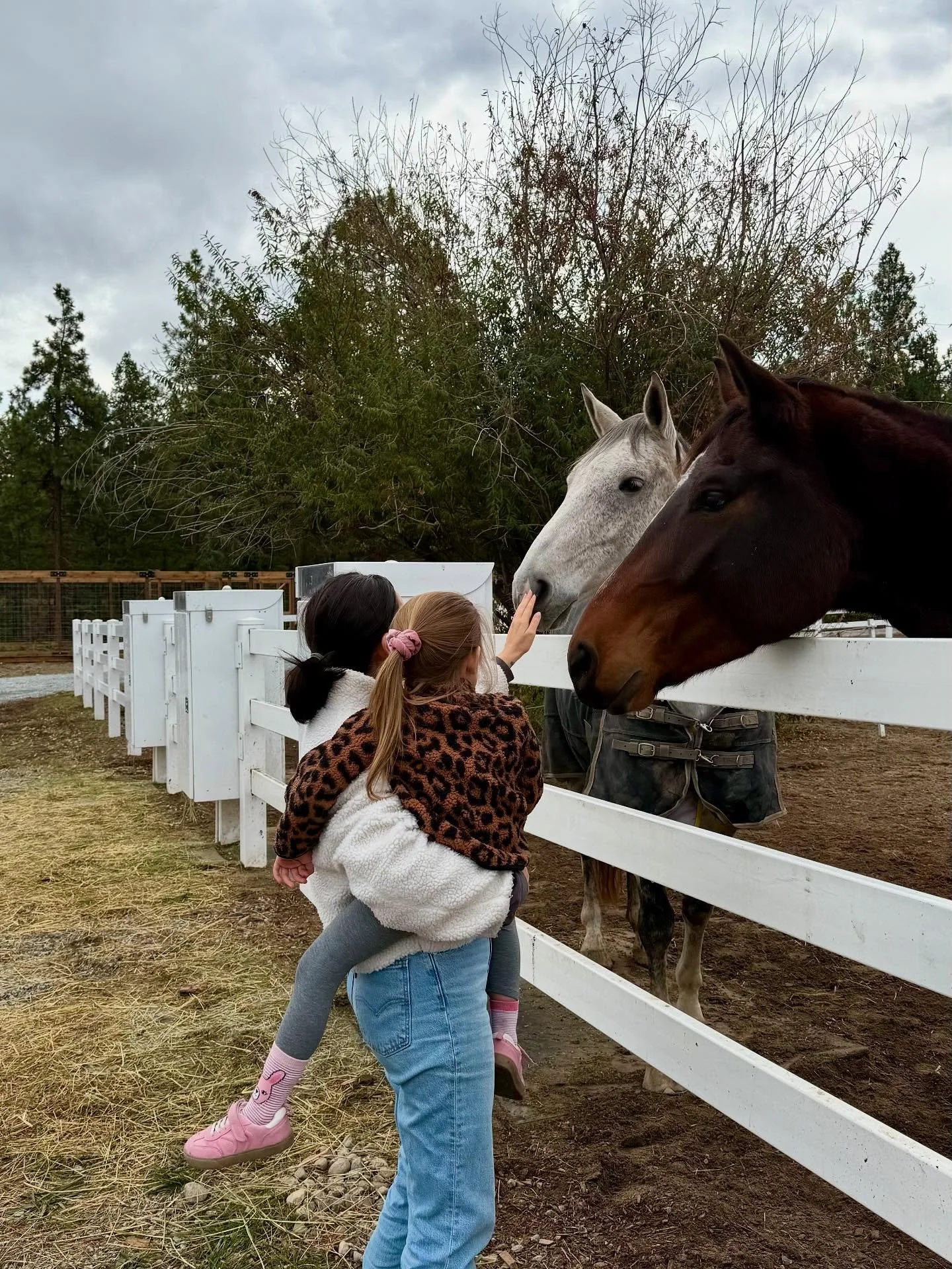 When your horses show up for the connection, not the snacks 🫶
The AutoFeed offers horses controlled portions of hay throughout a 24 hour period 🕒
This approach aims to promote more natural feeding behavior, reduce stress associated with feeding r