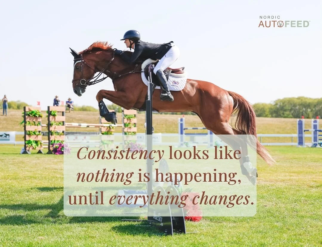 Consistent work on the fundamentals creates the biggest change.