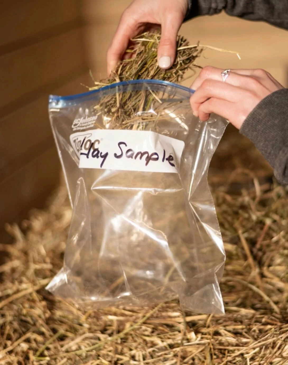 Do you have an easy keeper? 🐴🌾

Madeline Boast with @balancedbaynutrition shares important and practical manageable strategies for easy keepers and EMS horses in her latest webinar. 

Obesity is a serious welfare issue affecting 30-50% of domestic 