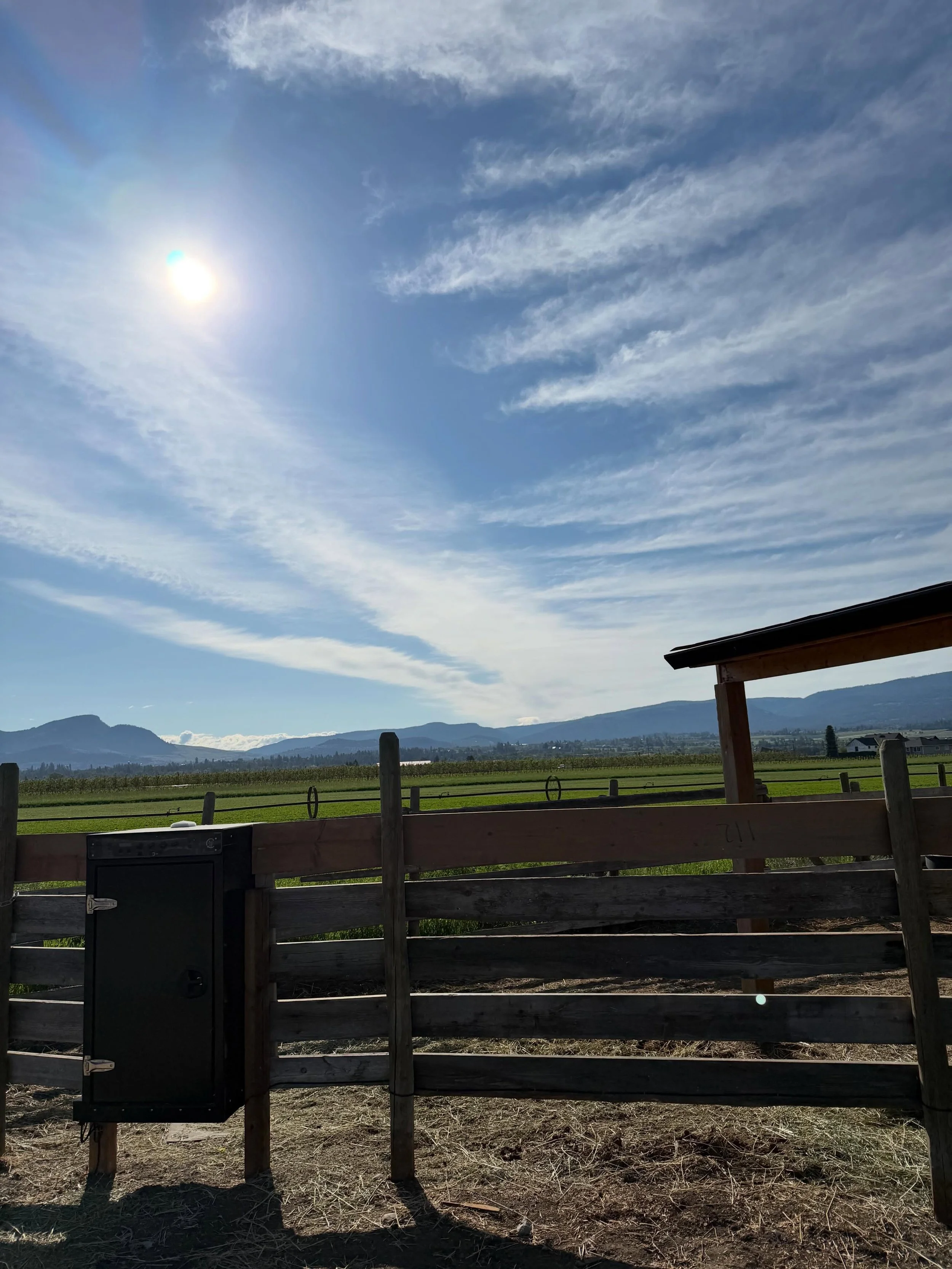 It&rsquo;s a beautiful morning, especially when you don&rsquo;t have to get up early to feed ☀️