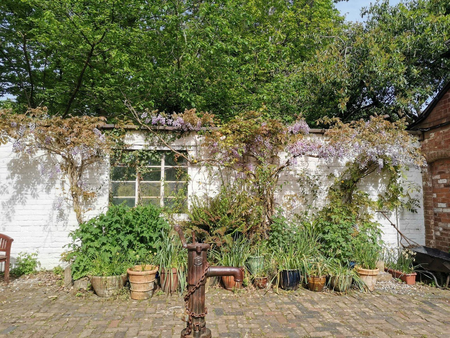 Saturday 22nd June we open for the National Garden Scheme
https://ngs.org.uk/gardens/the-river-school-wr3/#:~:text=A%20former%20Horticultural%20College%20garden,plots%20within%20a%20walled%20garden.