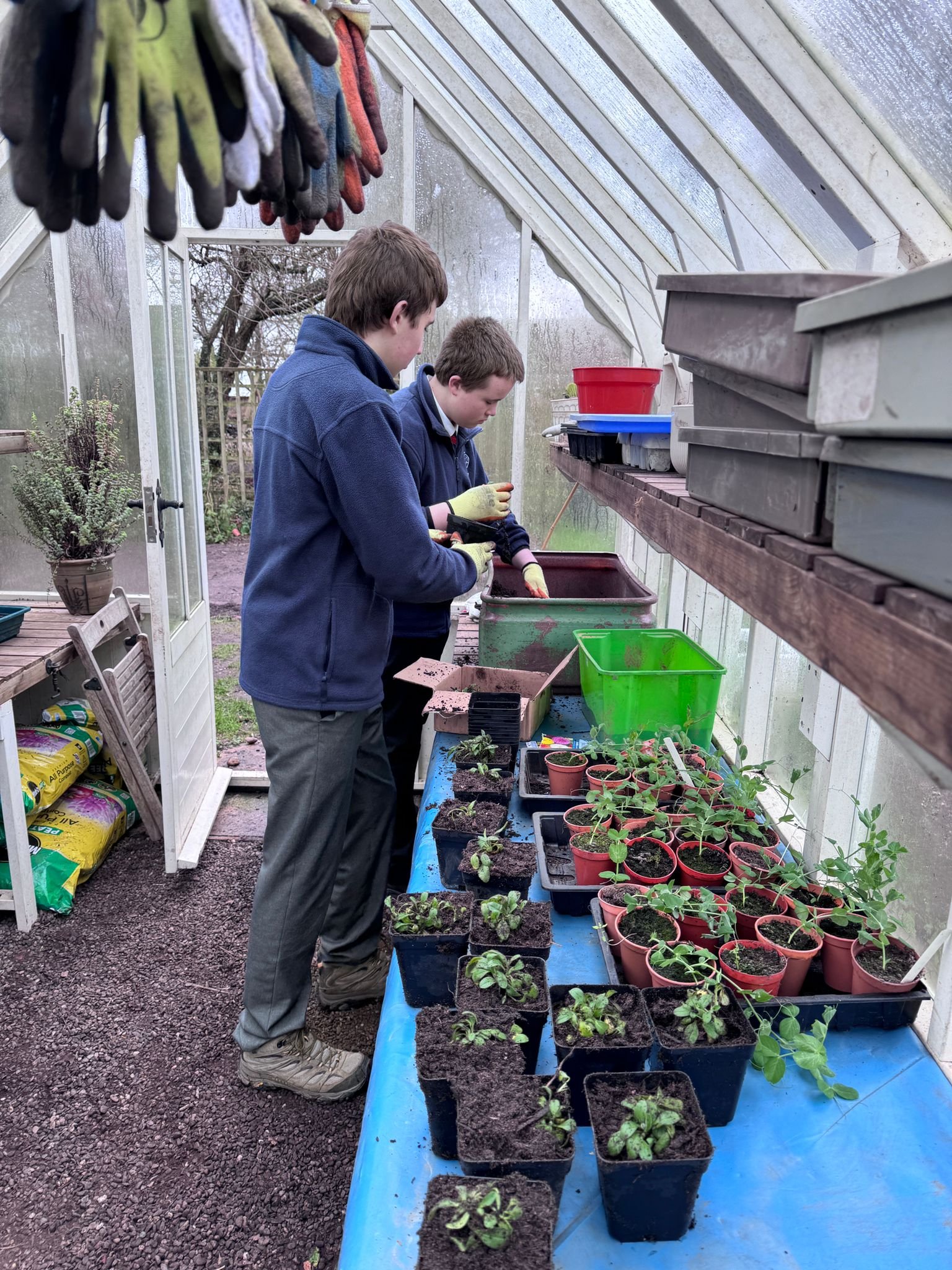 Greenhouse plants and people .jpeg