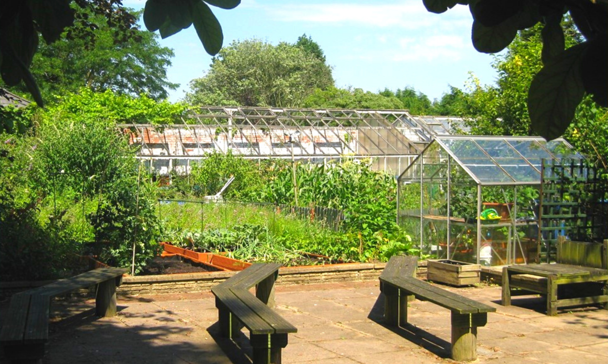 National Garden Scheme: TRS Open Garden